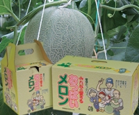 おっぱいメロン ネーミングは 赤ちゃんがお乳を吸うように安心して食べられる という意味 トレナビ