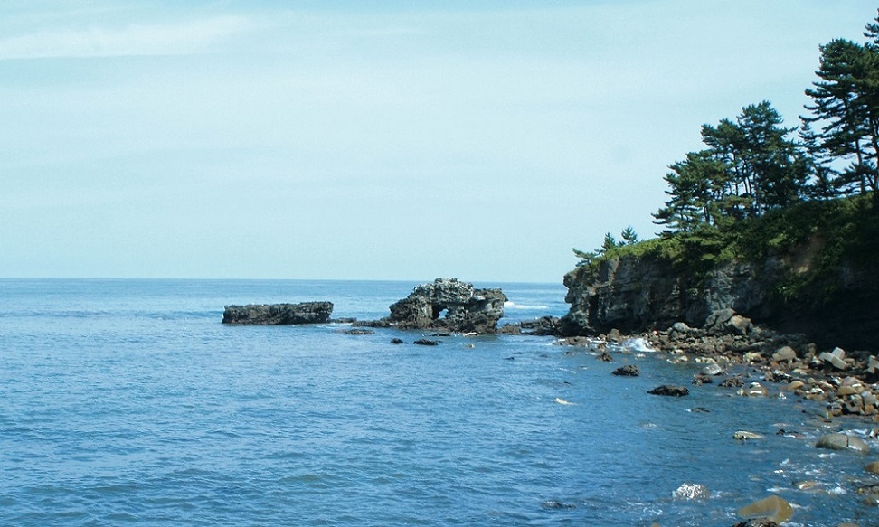 岩手県洋野町シンボルキャラクター「マキちゃん・ダイちゃん」 トレナビ