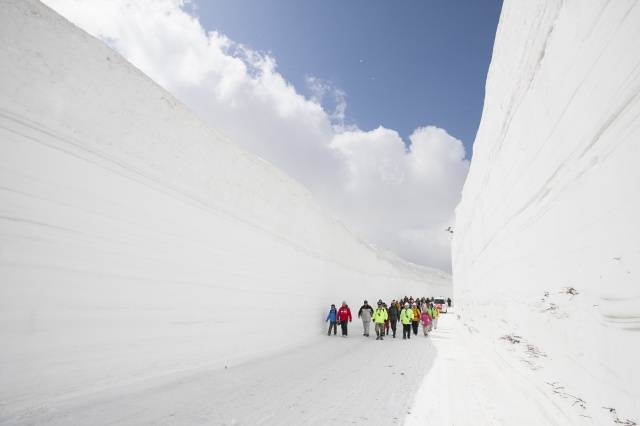 お花見 イベント特集 八甲田雪の 回廊と温泉 ウォーク トレナビ