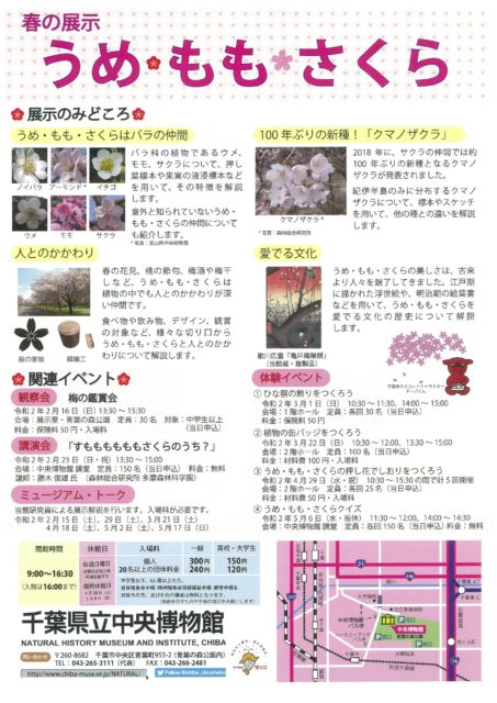 臨時休館 春の展示 うめ もも さくら 千葉市 トレナビ